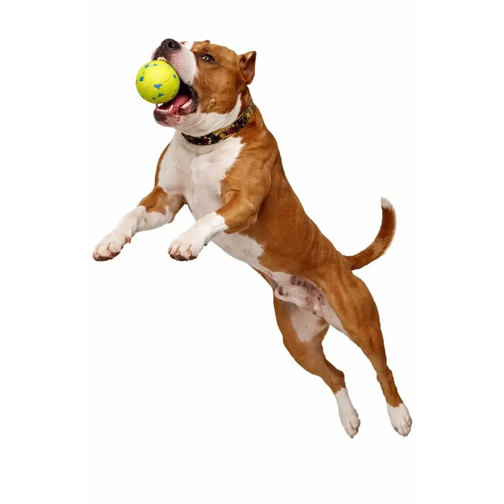 3-Heavy Duty Dog Ball for Aggressive Chewers, Durable Rubber Chew Toy, 3-Inch In